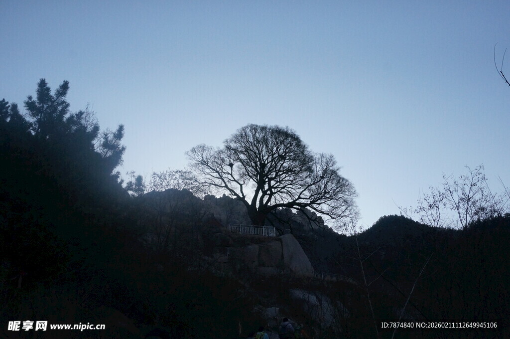 孤树立于暮色山间