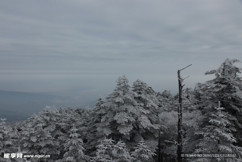 雪覆山林 冬日静谧景致