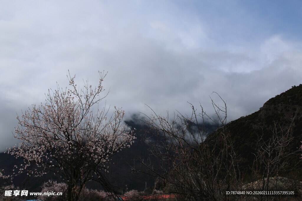 山间云雾缭绕的秀丽景致