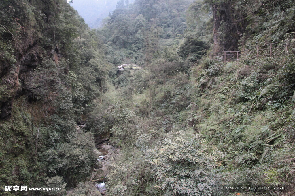 山间幽深峡谷美景