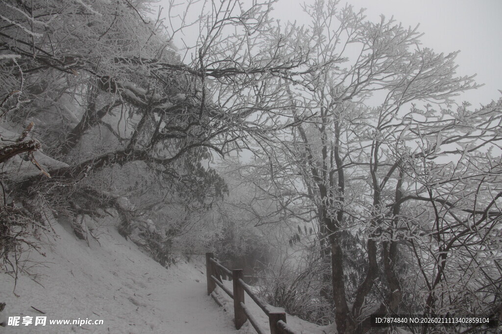 雪覆山林间的木质小道