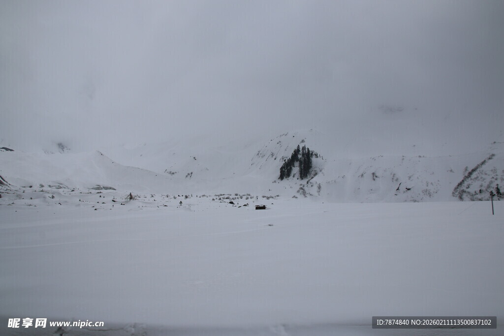 雪地孤影 静谧自然景象