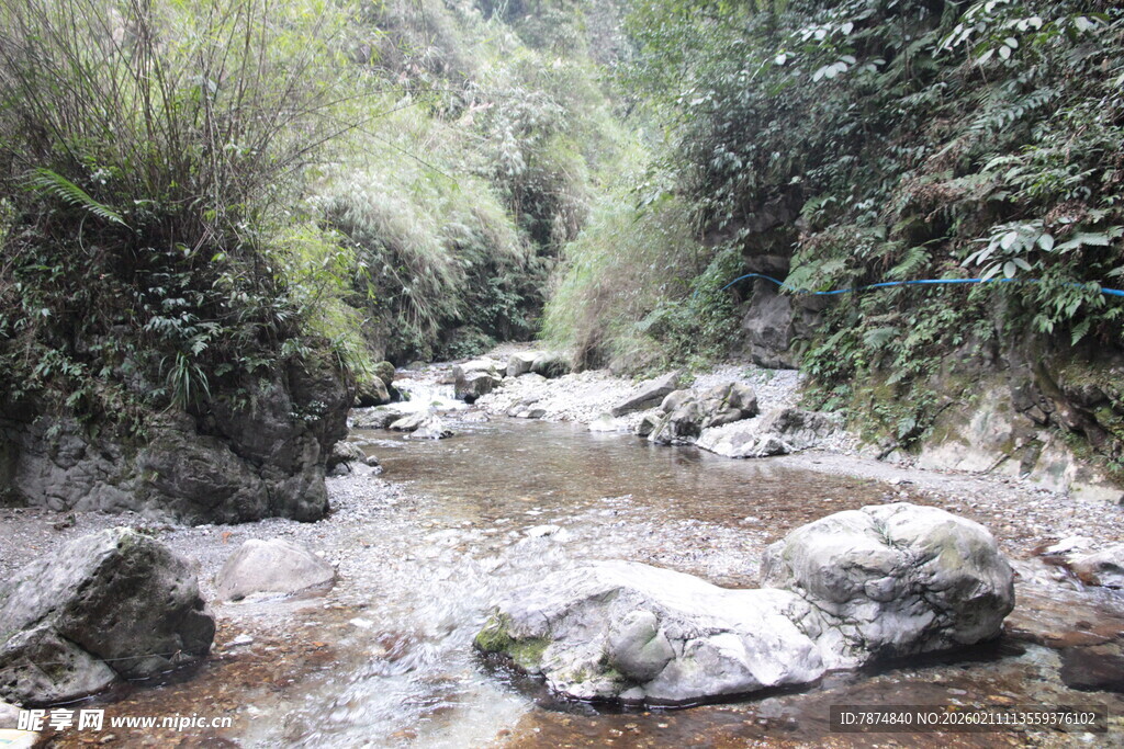 山间溪流 静谧自然之景