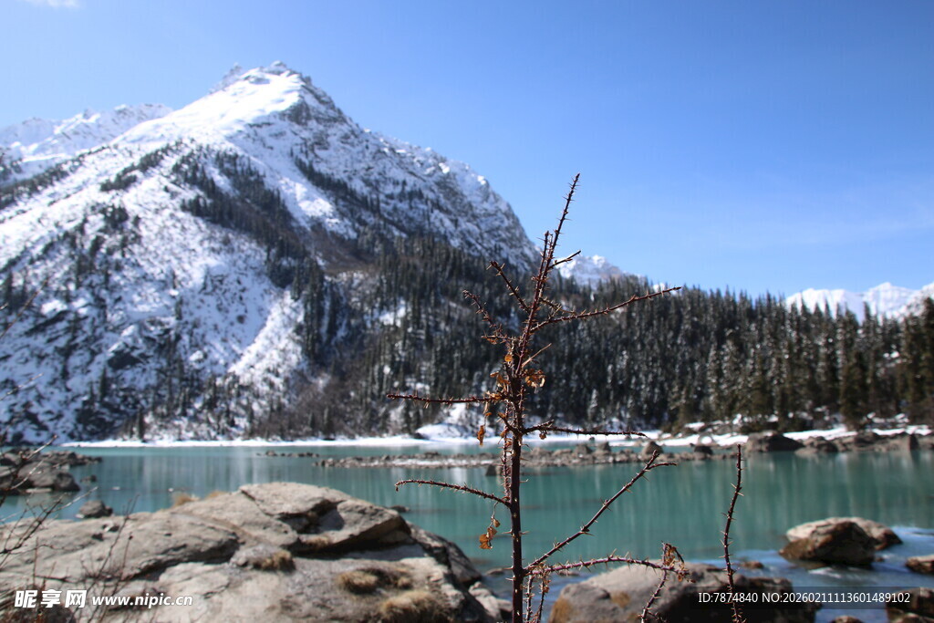 雪山下的静谧湖泊