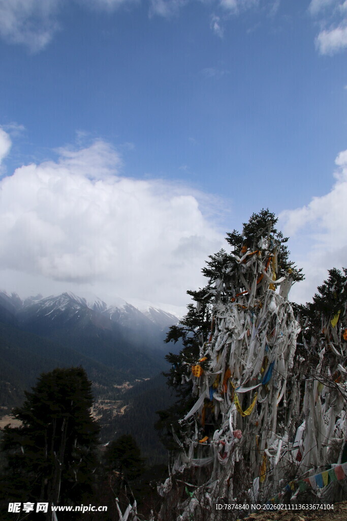 雪山旁覆雪树木景观