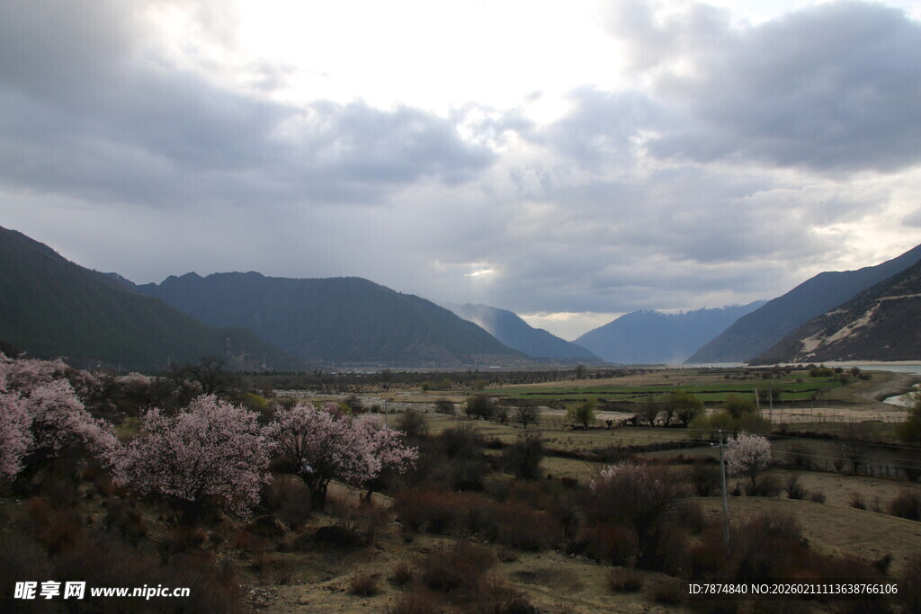 山间烂漫花海与壮丽山峦