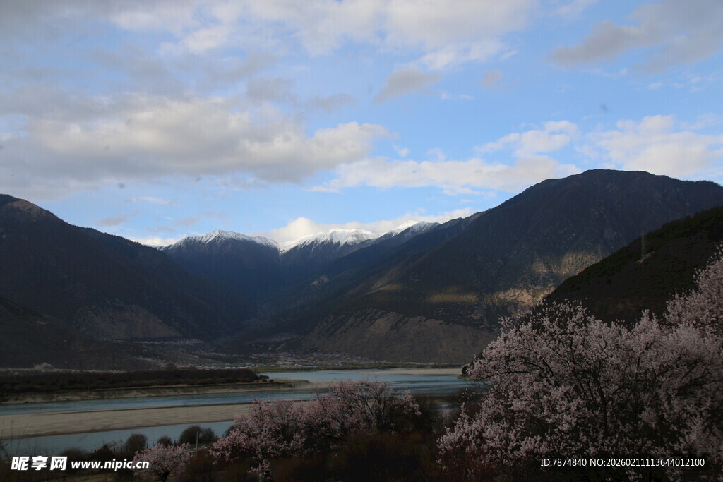 山间河流畔绽放的繁花