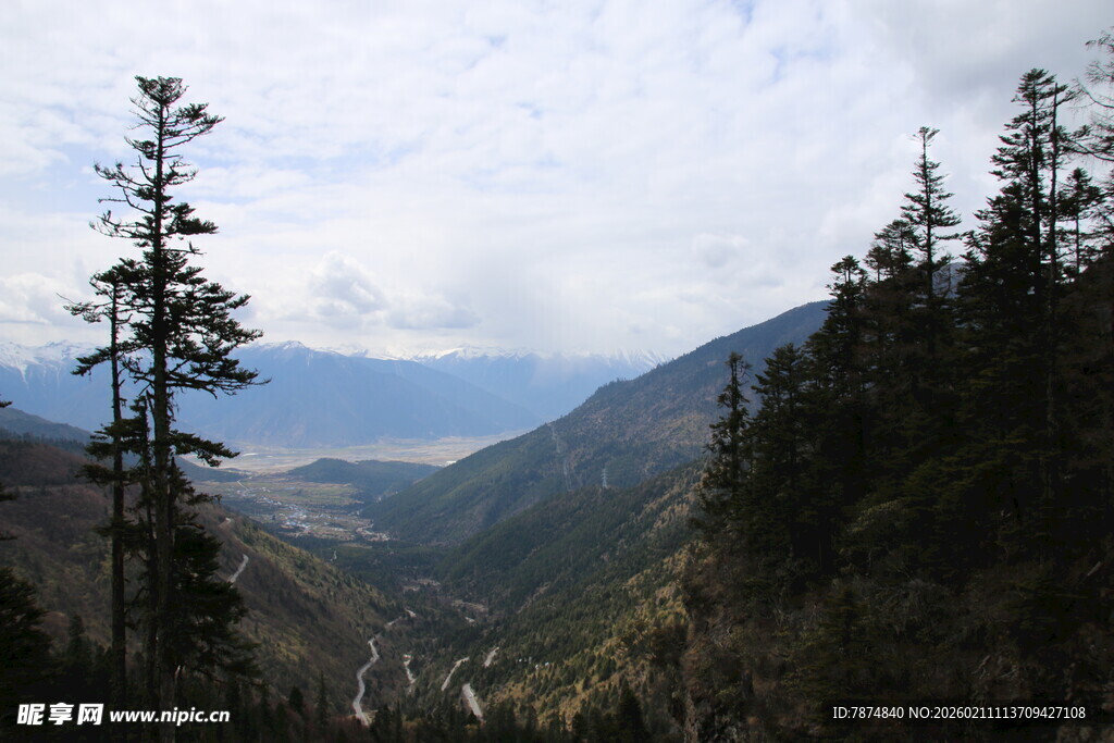 山间森林与远处山谷景观