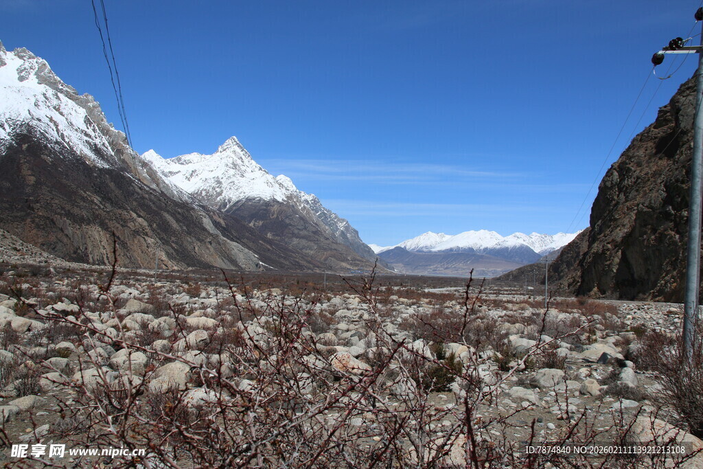 雪山下的烂漫花海