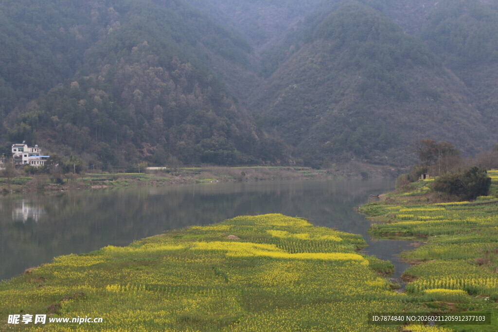 春日河畔油菜花田美景