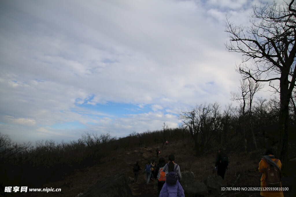 户外徒步者于山林间赏景