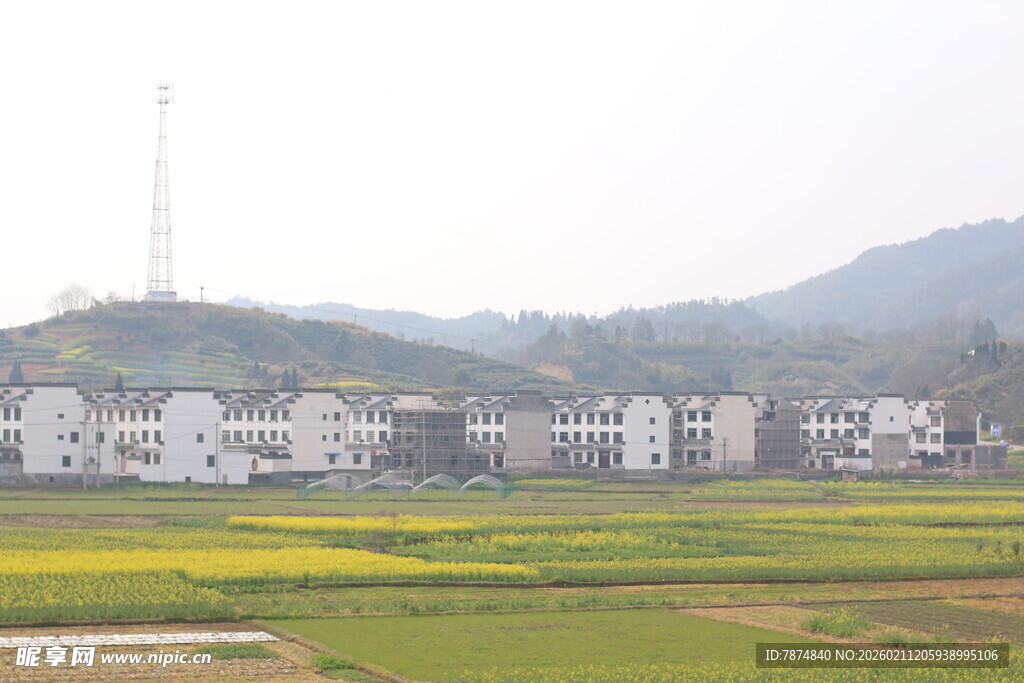 乡村田野旁的白墙建筑群