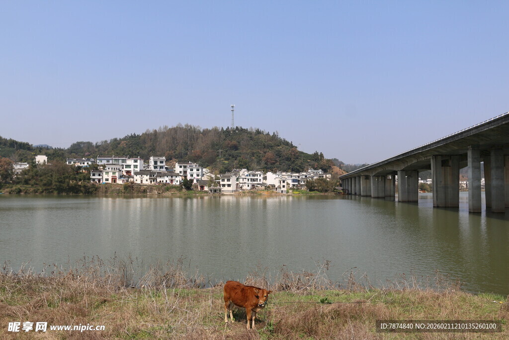 湖畔桥梁与远处村落风景