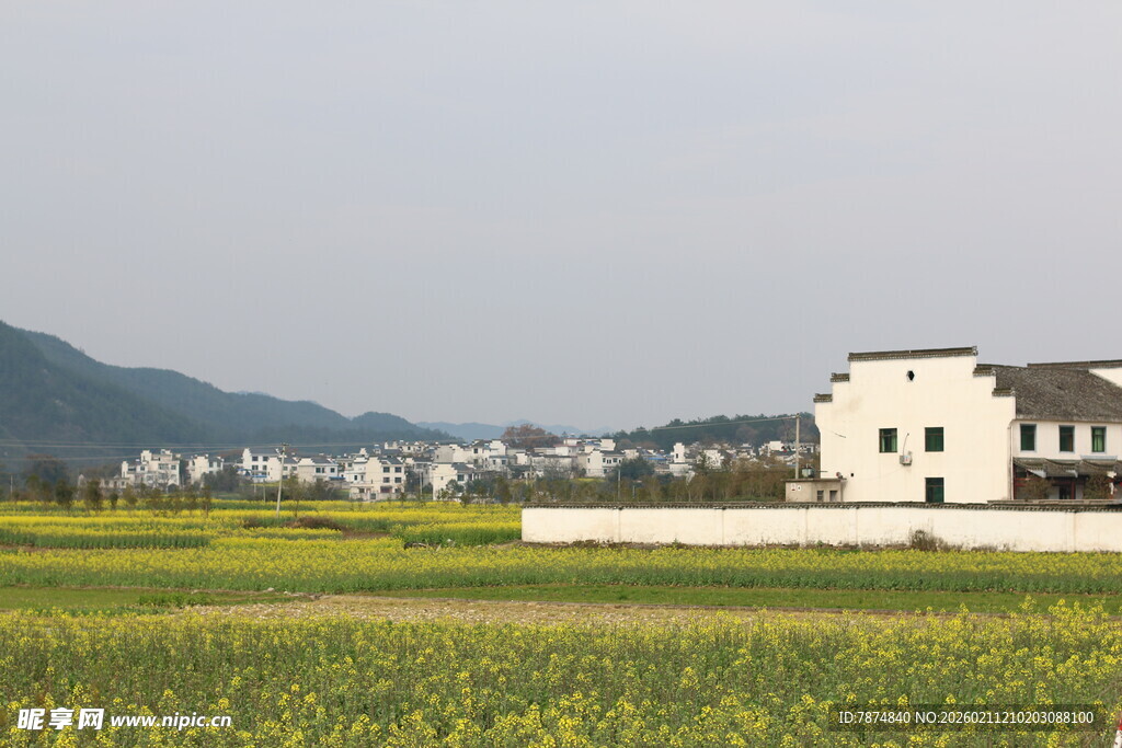 田园风光中的白墙房屋