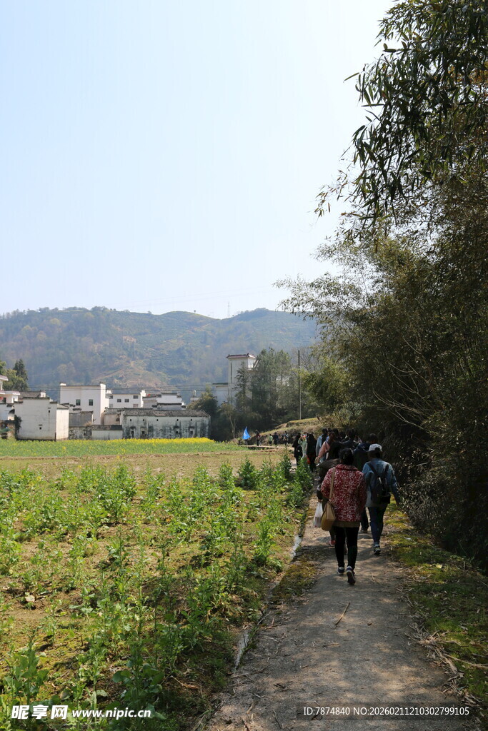 乡村小径上的徒步人群
