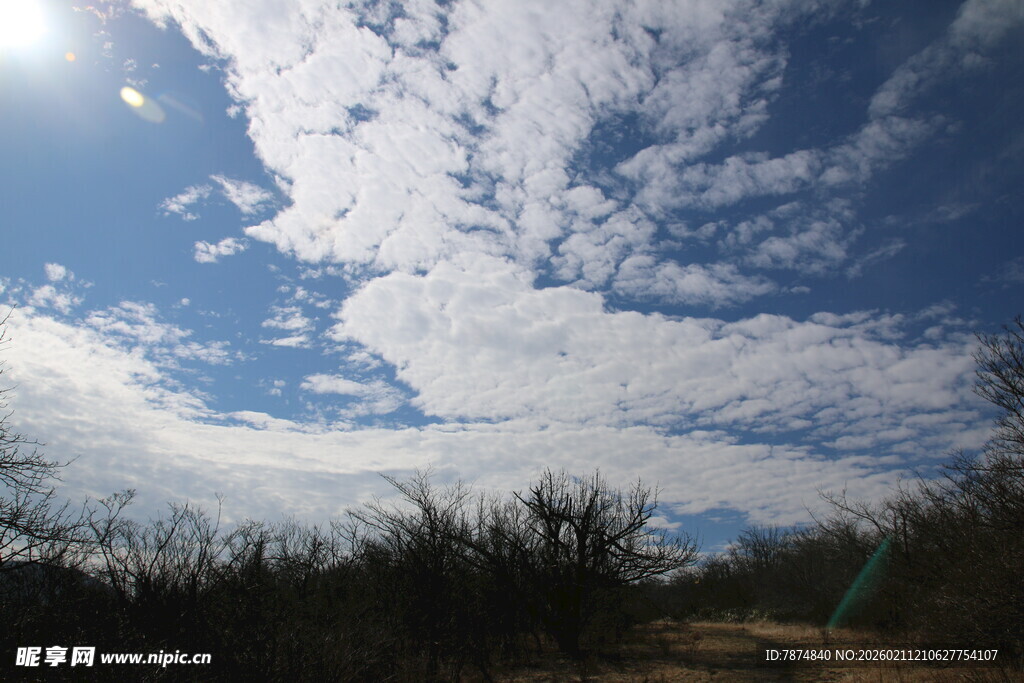 蓝天白云下的自然景致