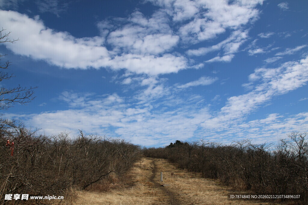 乡间小径 蓝天白云相伴