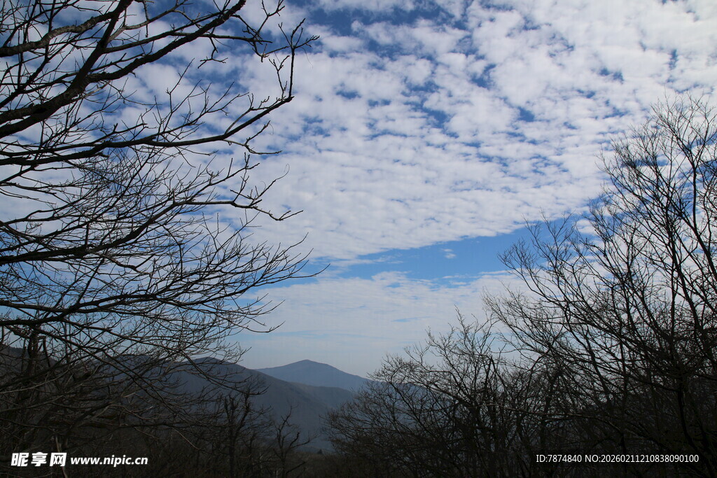山林蓝天枯树风景图