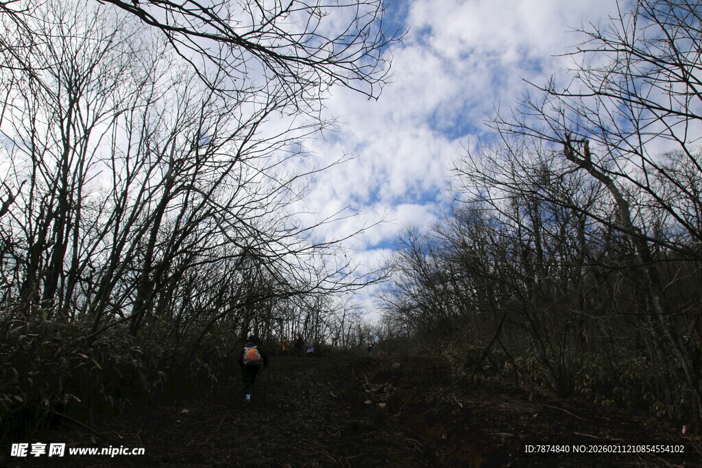 林间小道 云遮树木景致