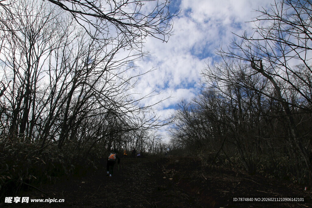 林间小道 蓝天白云下的静谧