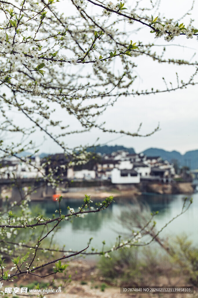 婺源江南水乡风景图