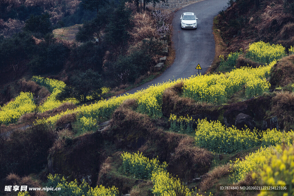 婺源山间公路上行驶的白色汽车