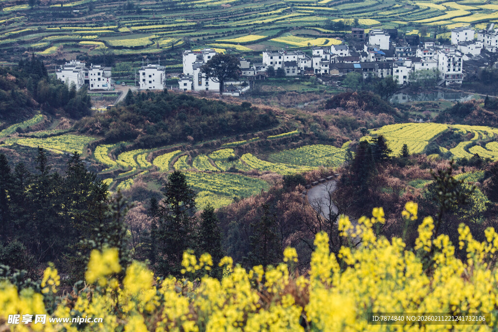 婺源春日田园油菜花美景