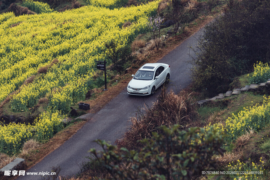 山间公路上的白色汽车