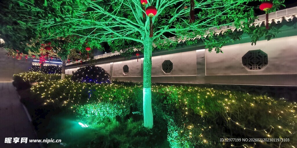 梦幻绿光树景 夜色添魅力