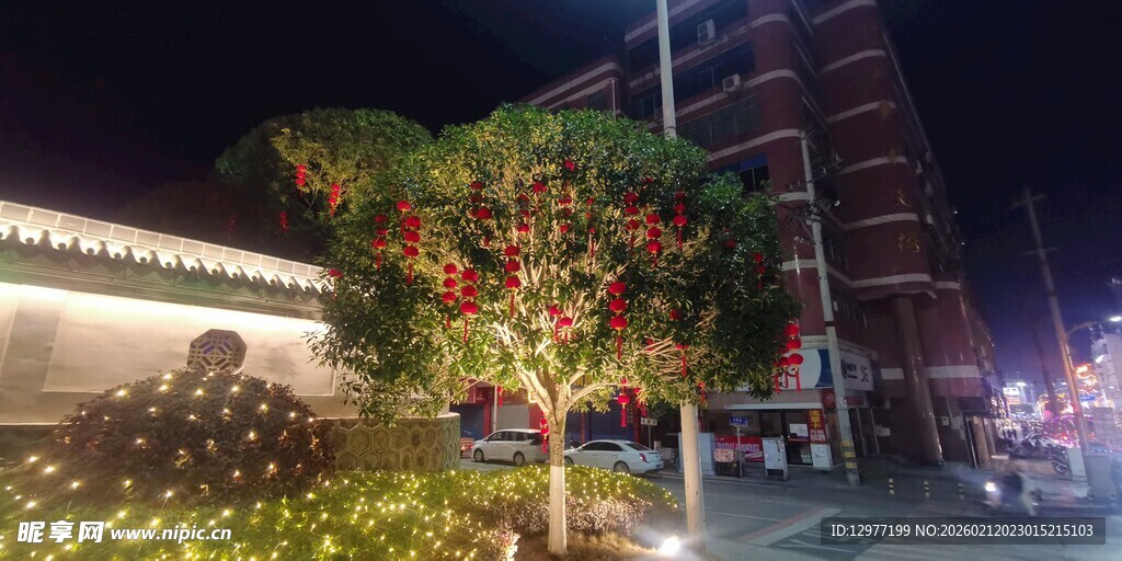 夜晚街边璀璨装饰的树木