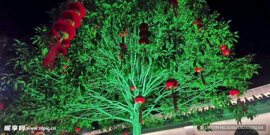 夜晚发光树 挂红灯笼美