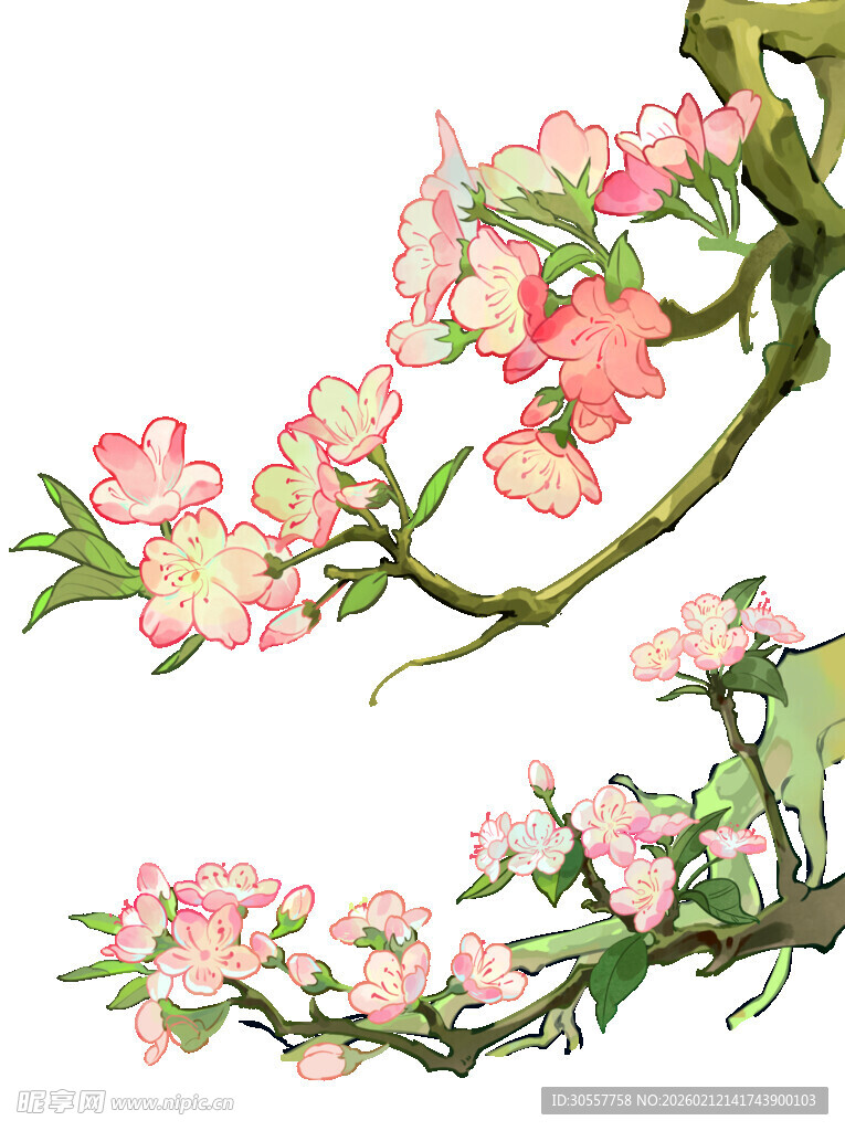 彩色国潮风卡通植物梨花