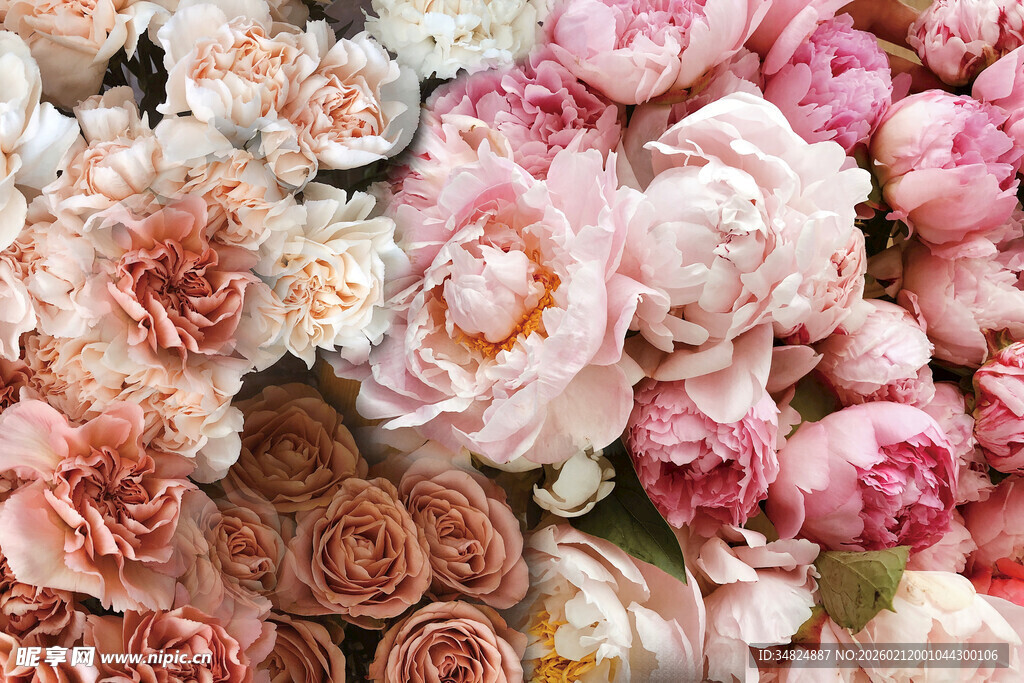 缤纷浪漫花卉组合