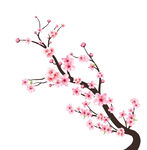 梅花图纸