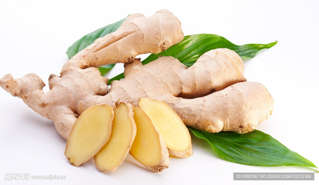 鲜姜切片与整姜带叶展示