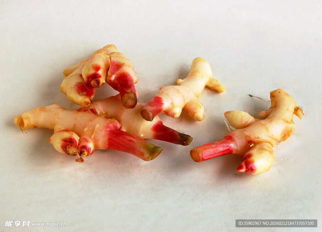 新鲜嫩姜根茎特写