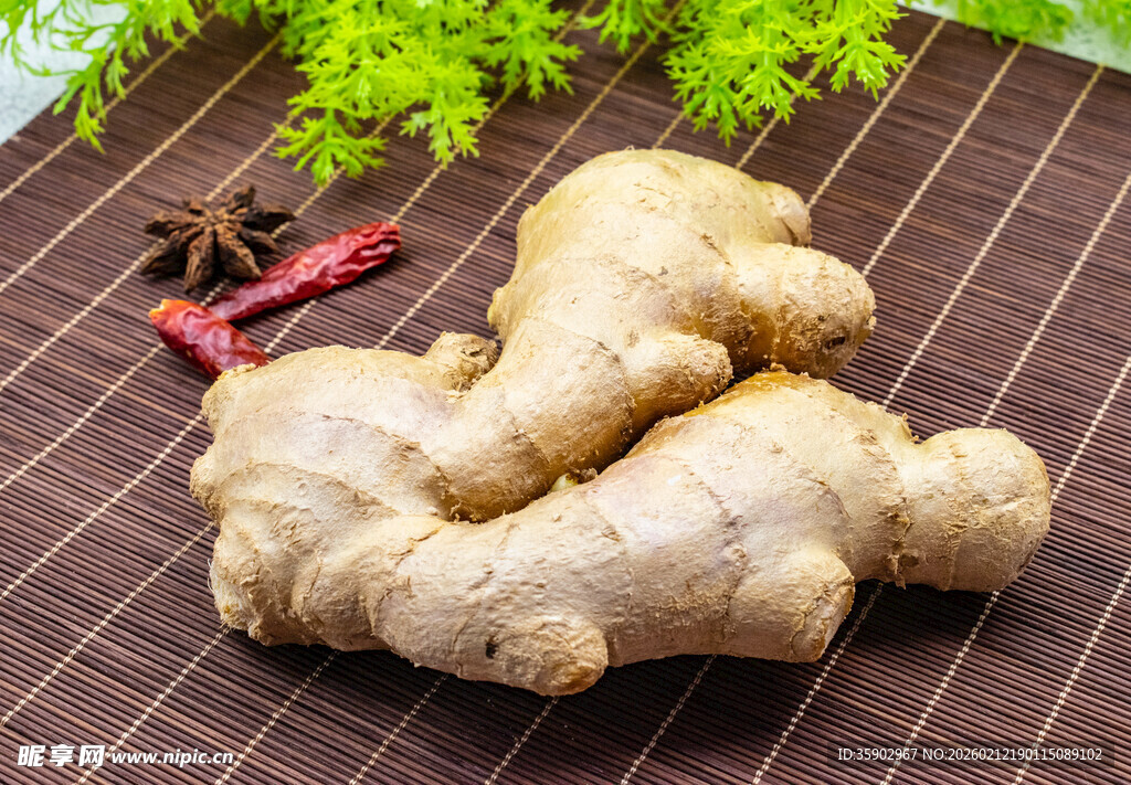 新鲜生姜及香料静物展示