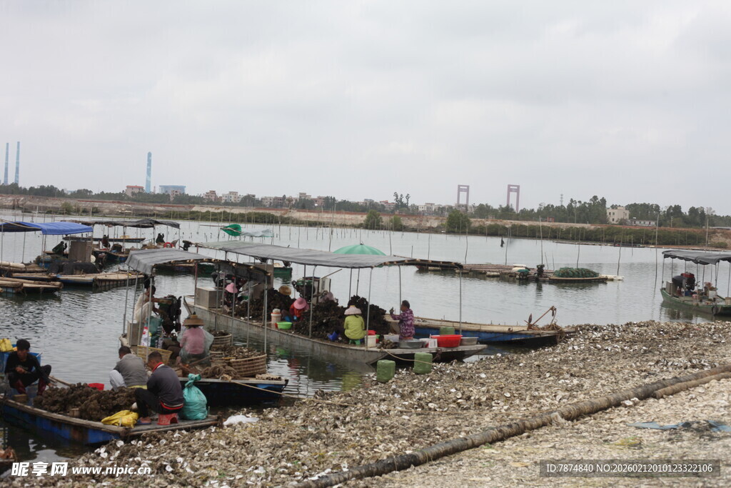 湛江岸边热闹的水上活动场景