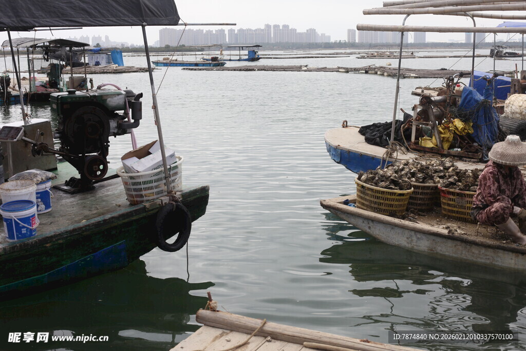 湛江水上作业场景中的船只