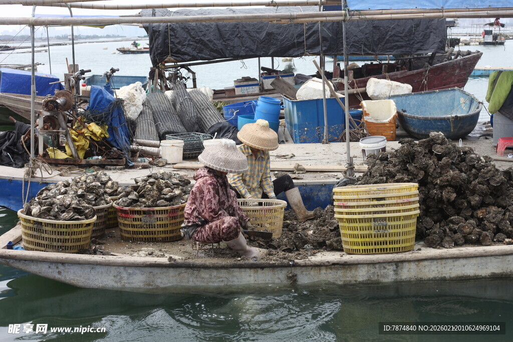 湛江渔船上忙碌的水产养殖户