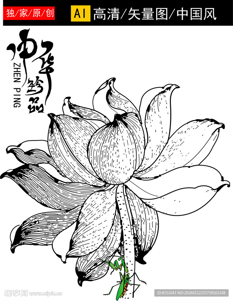 手绘莲花图尽显中式韵味