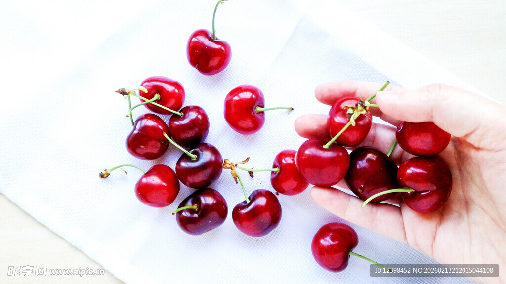 手捧新鲜红樱桃