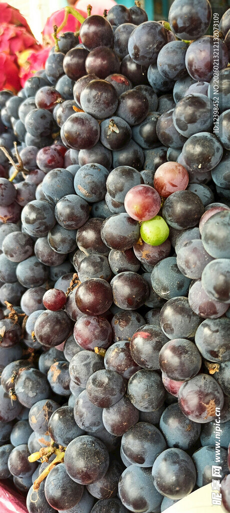 新鲜多样葡萄