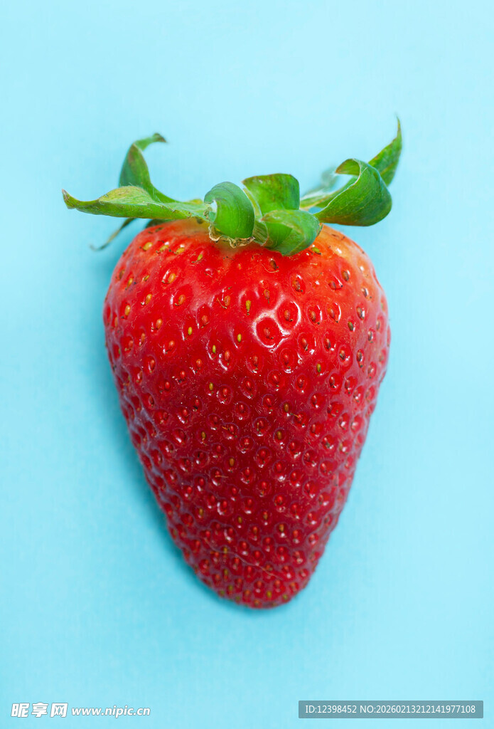 蓝底鲜红草莓