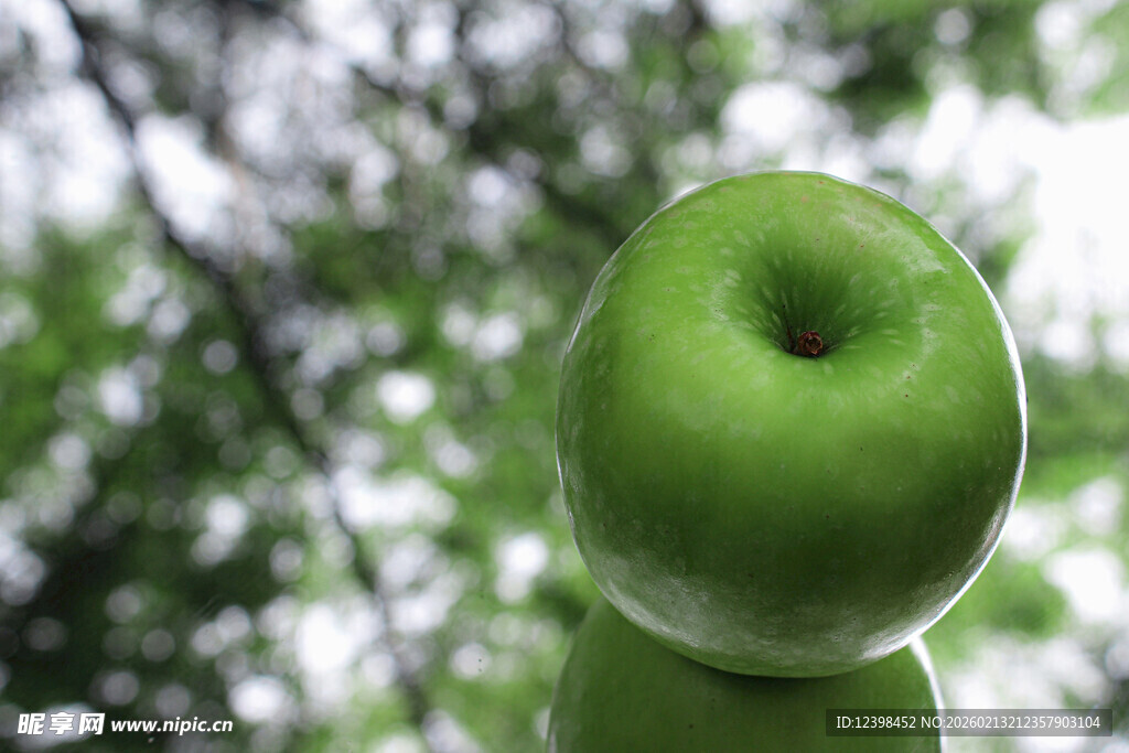 青苹果特写