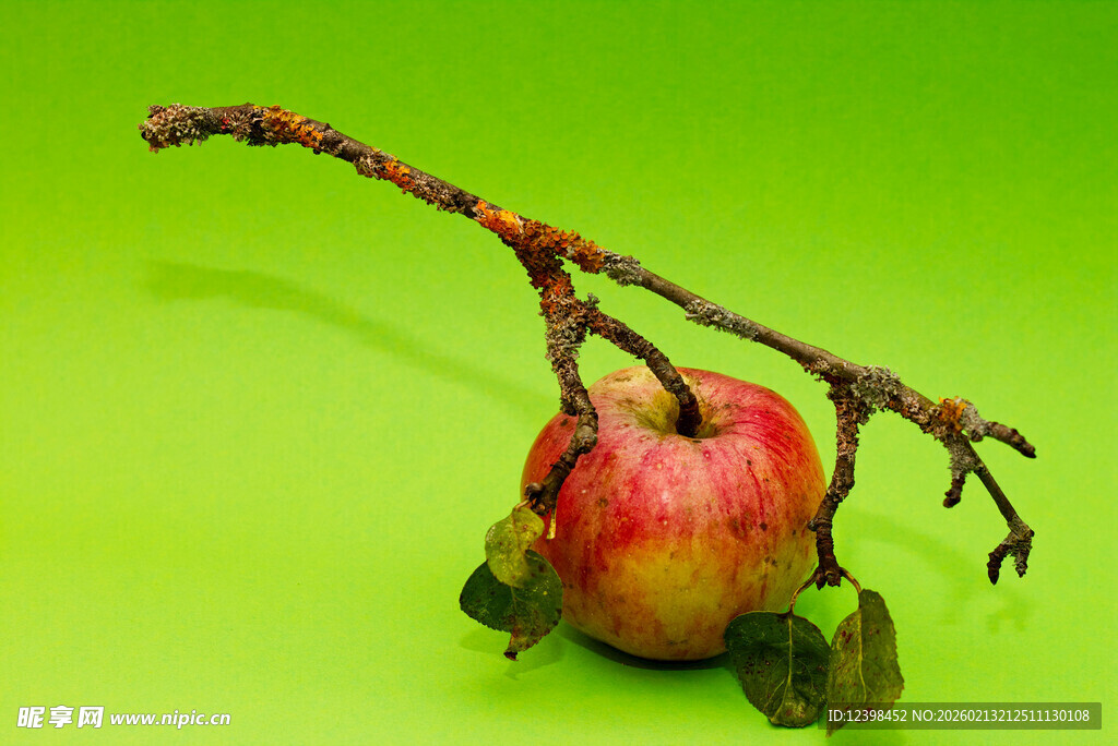 带枝红苹果特写