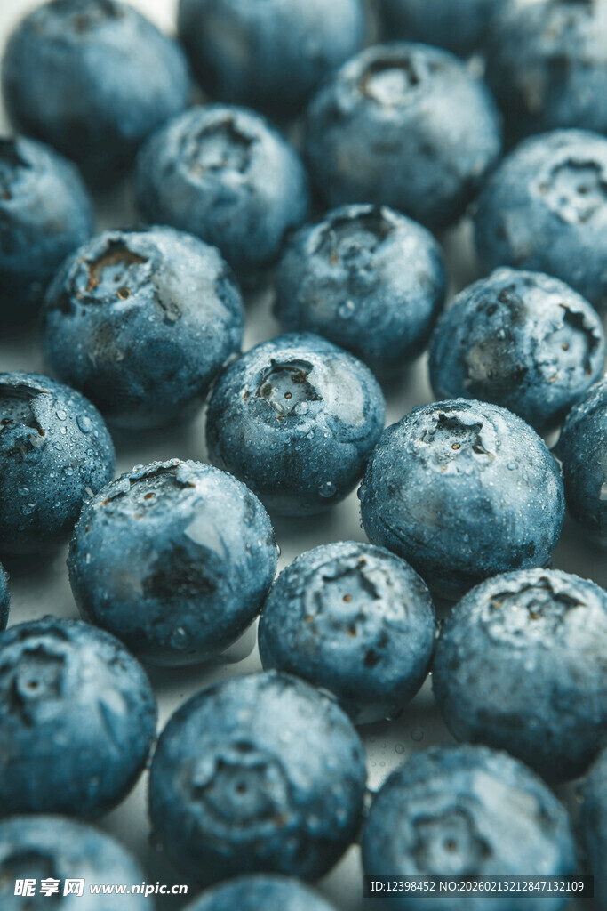 饱满蓝莓特写
