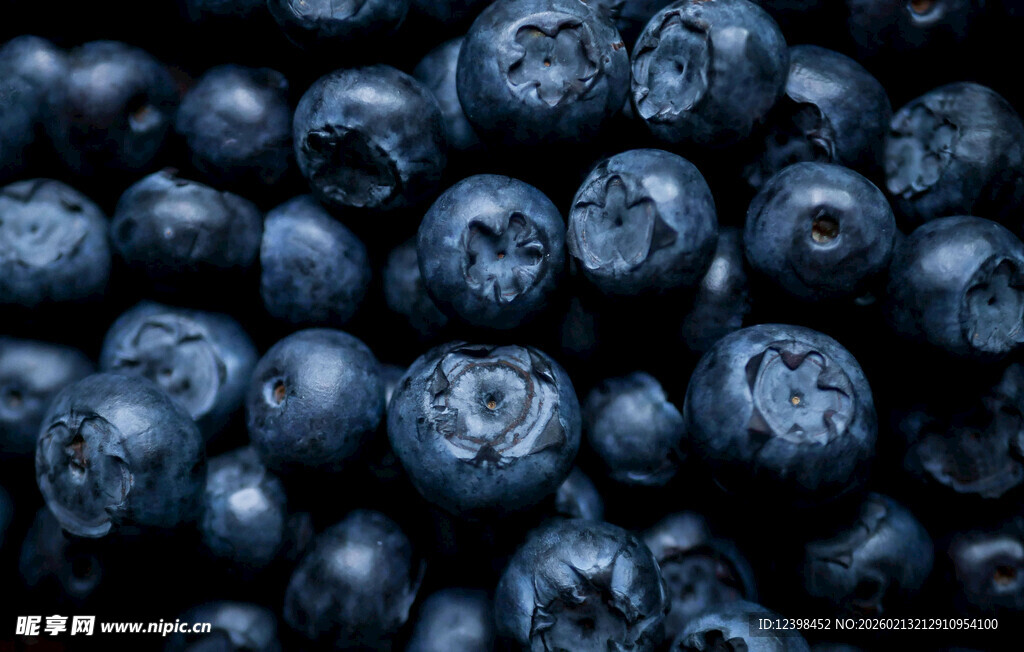 饱满蓝莓特写