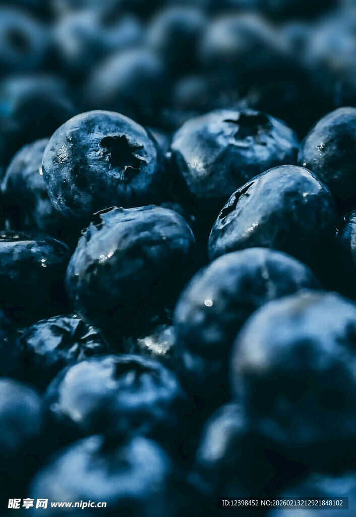 饱满蓝莓特写