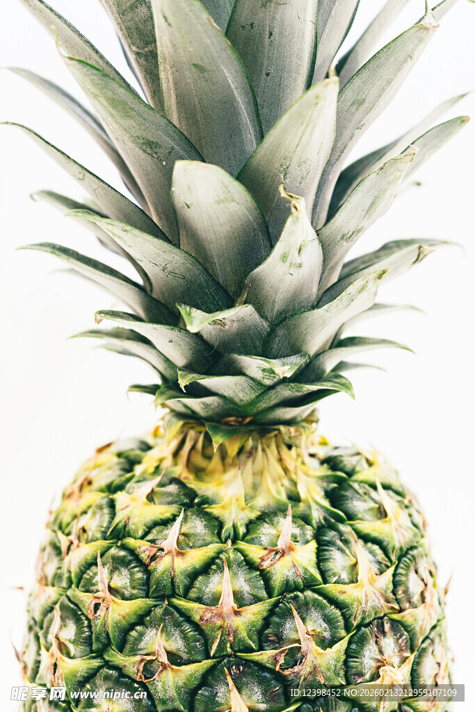 新鲜菠萝特写